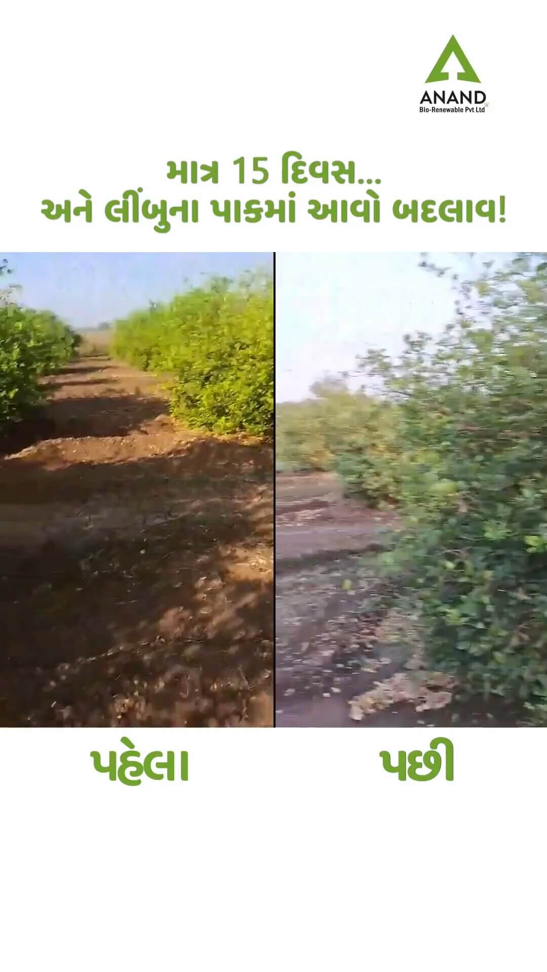 Farmer Video