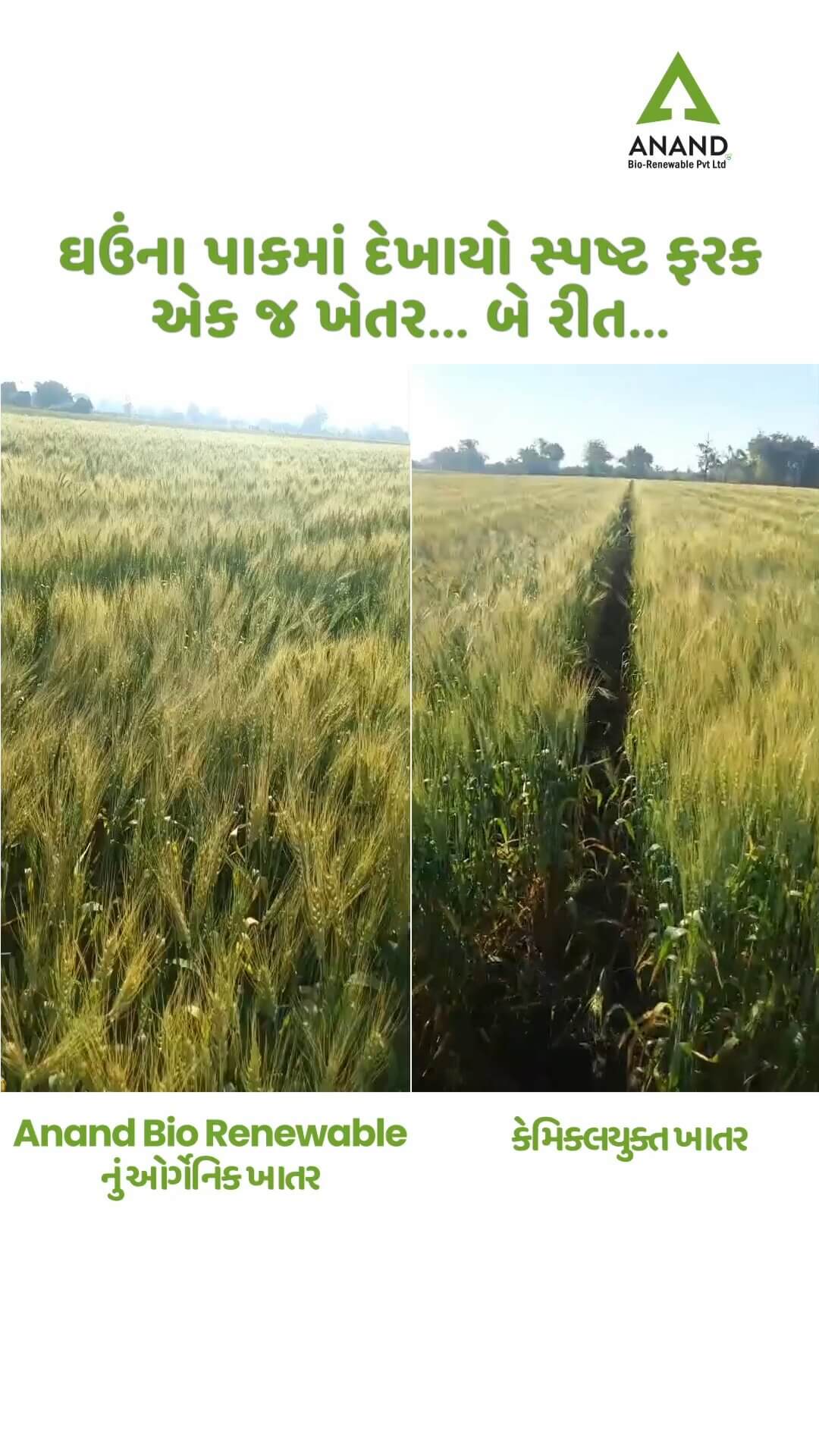 Farmer Video