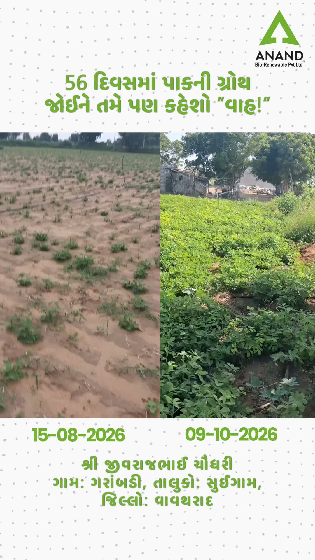 Farmer Video
