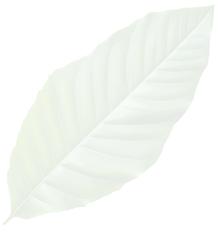 Decorative plant shape background overlay
